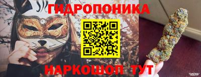 дживик Моздок
