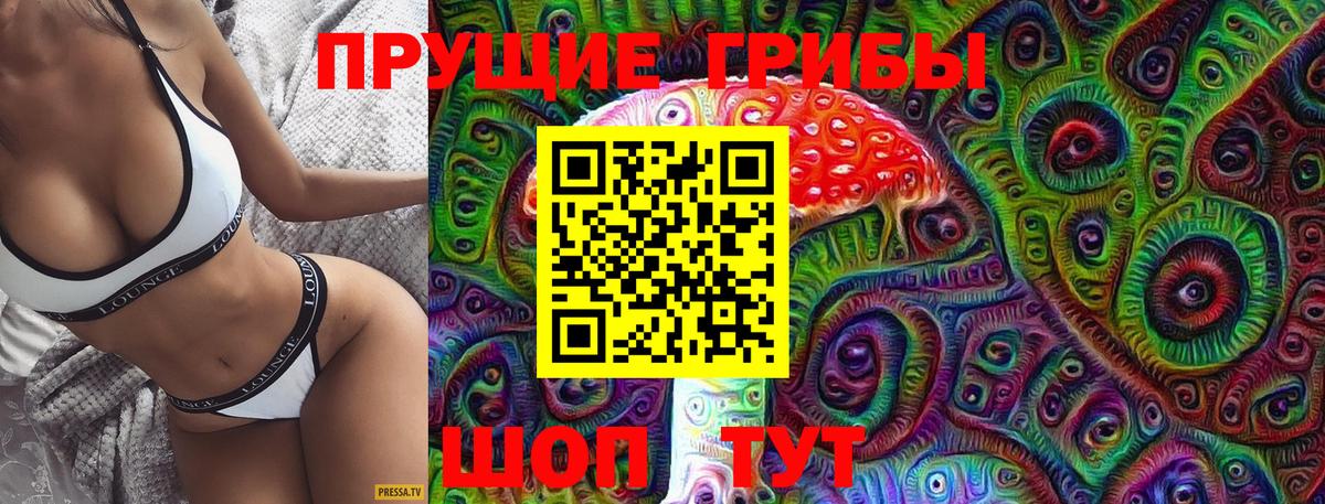 Псилоцибиновые грибы мицелий  Вход с VPN  Псилоцибиновые грибы Psilocybine cubensis  Соль-Илецк 