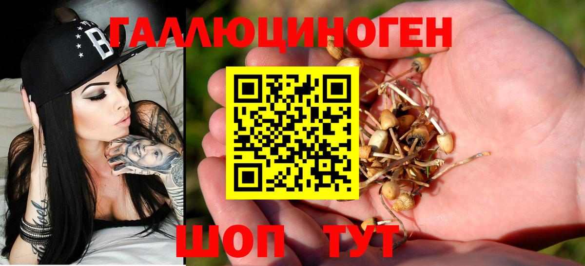 Псилоцибиновые грибы Magic Shrooms Соль-Илецк